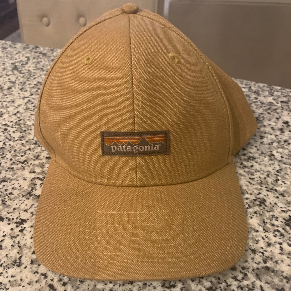 Patagonia Trucker Hat - New!